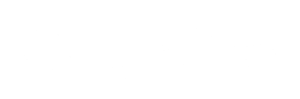 Gadgets Pro